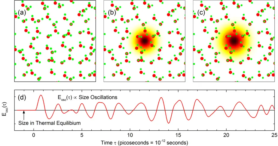 Fig. 1. Cartoon of an oscillating polaron in liquid water © MBI