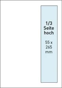 Anzeigenformat 1/3 Seite hoch