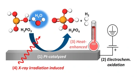 Illustration: Oxidationspfade von wässriger Phosphorsäure © HZB