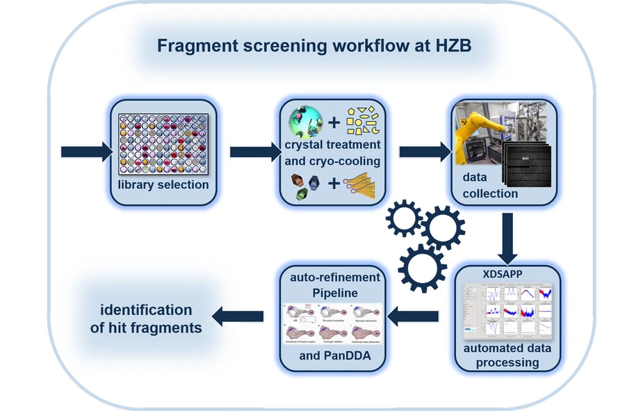 fragment-screening workflow © HZB