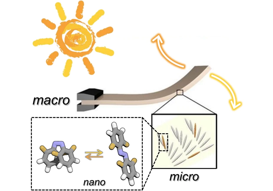 Converting sunlight directly into motion by organizing light-responsive molecules. Figure: Dr. David Bléger