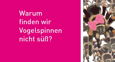 Warum finden wir Vogelspinnen nicht süß? Jugend forscht in Berlin Adlershof.  Bild: WISTA