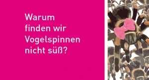 Warum finden wir Vogelspinnen nicht süß? Jugend forscht in Berlin Adlershof. Bild: WISTA
