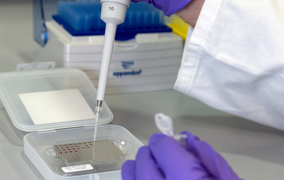 Mit einer Pipette werden Tropfen auf einen Probenträger aufgebracht