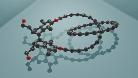 Model of a catenane