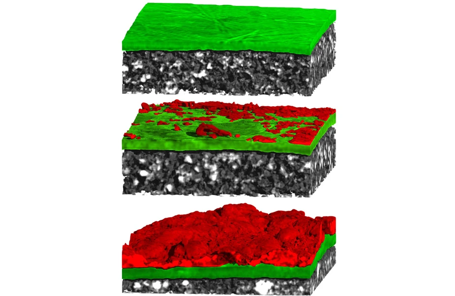 Tomographie einer Lithium-Elektrode. Copyright: M. Osenberg / I. Manke / HZB