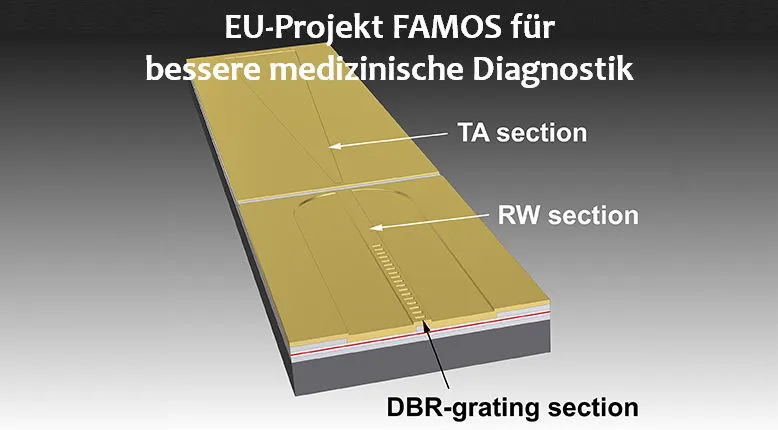 Bild: FBH