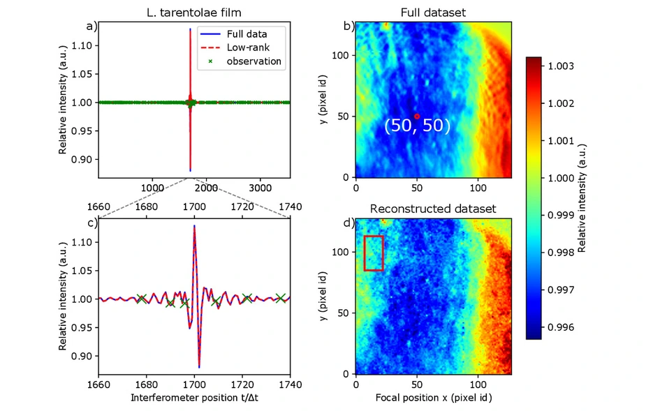 Sample interferogram © PTB