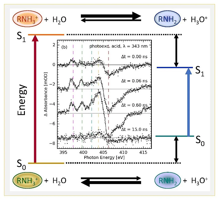 Fig. 1: Förster cycle of an amine photoacid © MBI