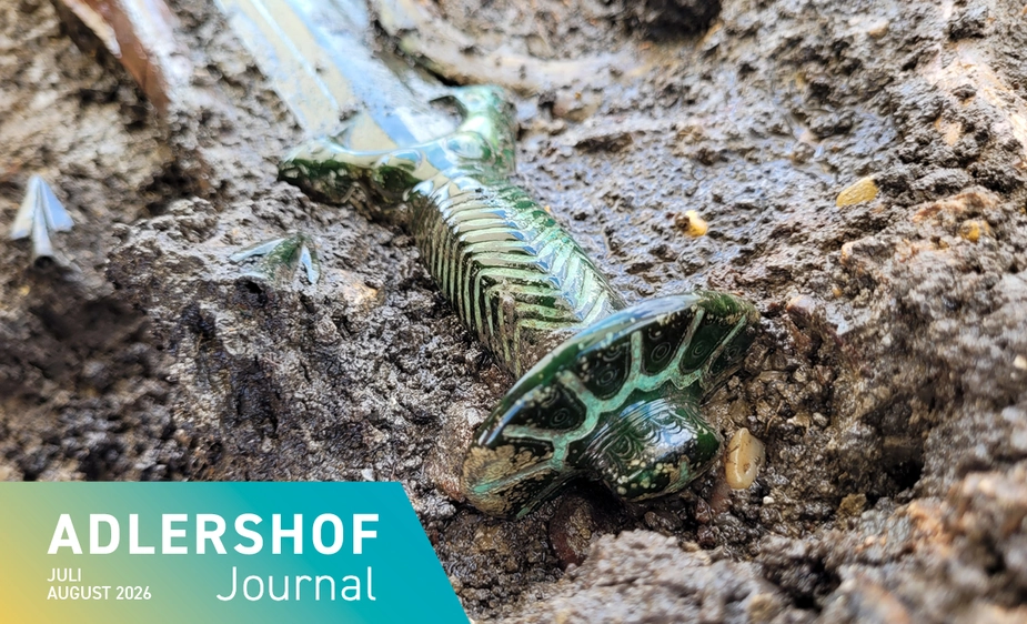 Artfully decorated sword pommel in wet earth