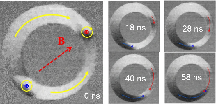 Nanoring. Bild: HZB