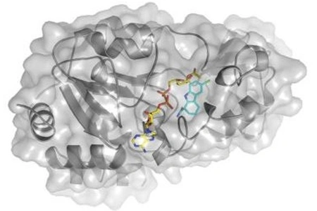 Abb.: HZB
