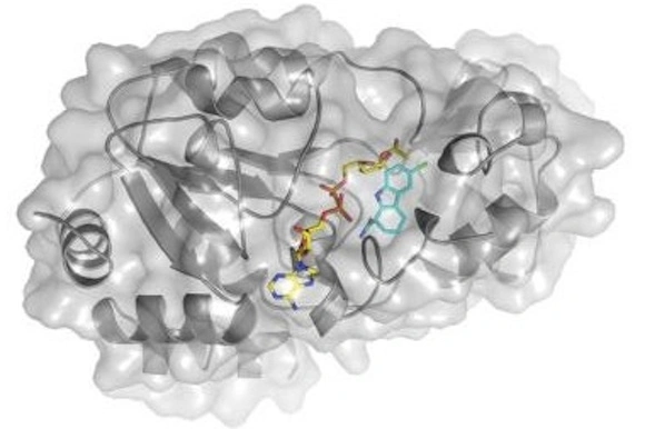 Abb.: HZB