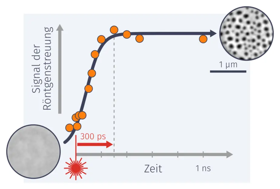 Topologische Umwandlung. Bild: MBI