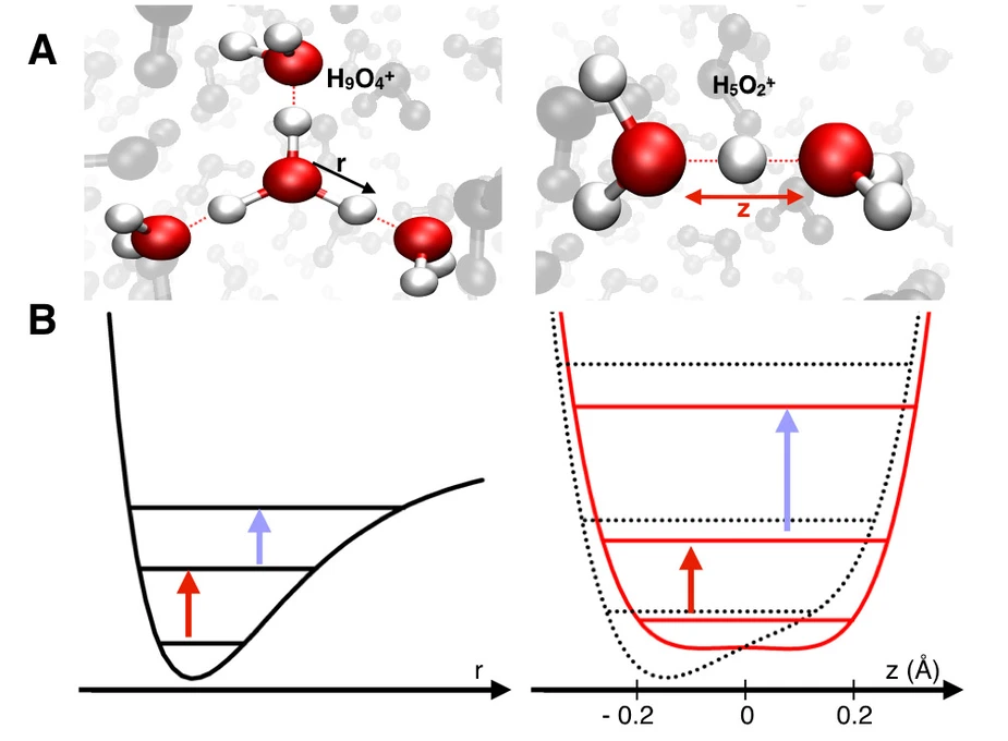 Figure 1 © MBI