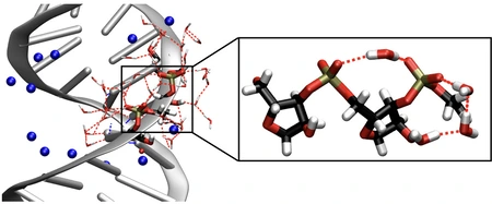 RNA double helix. MBI