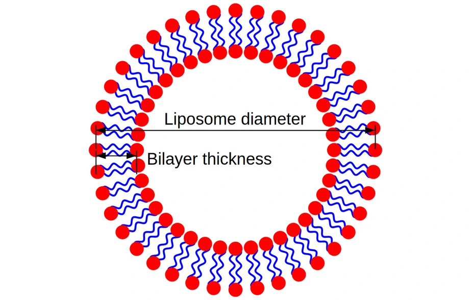 Ring-shaped arrangement of molecules with distances marked