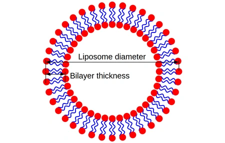 Ring-shaped arrangement of molecules with distances marked