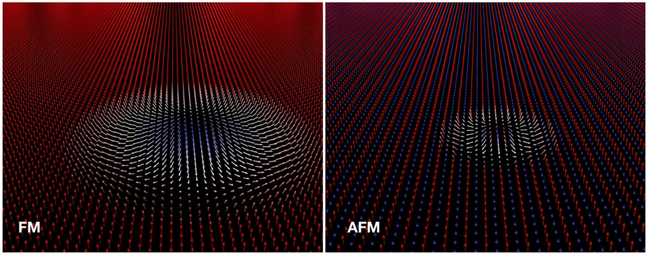 Skyrmions