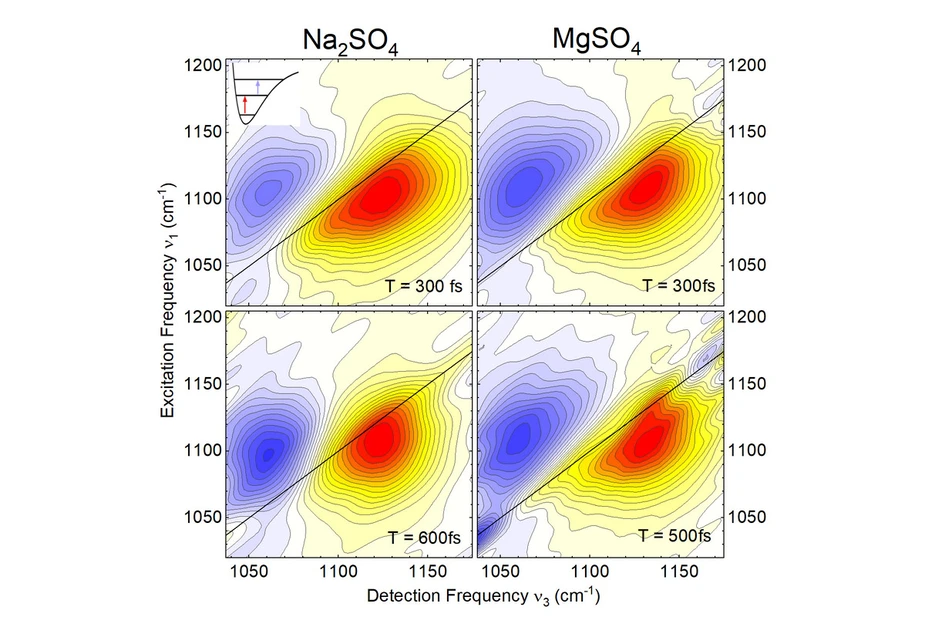 Fig. 1: Two-dimensional infrared spectra © MBI